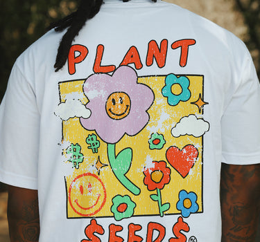 Plant Seeds